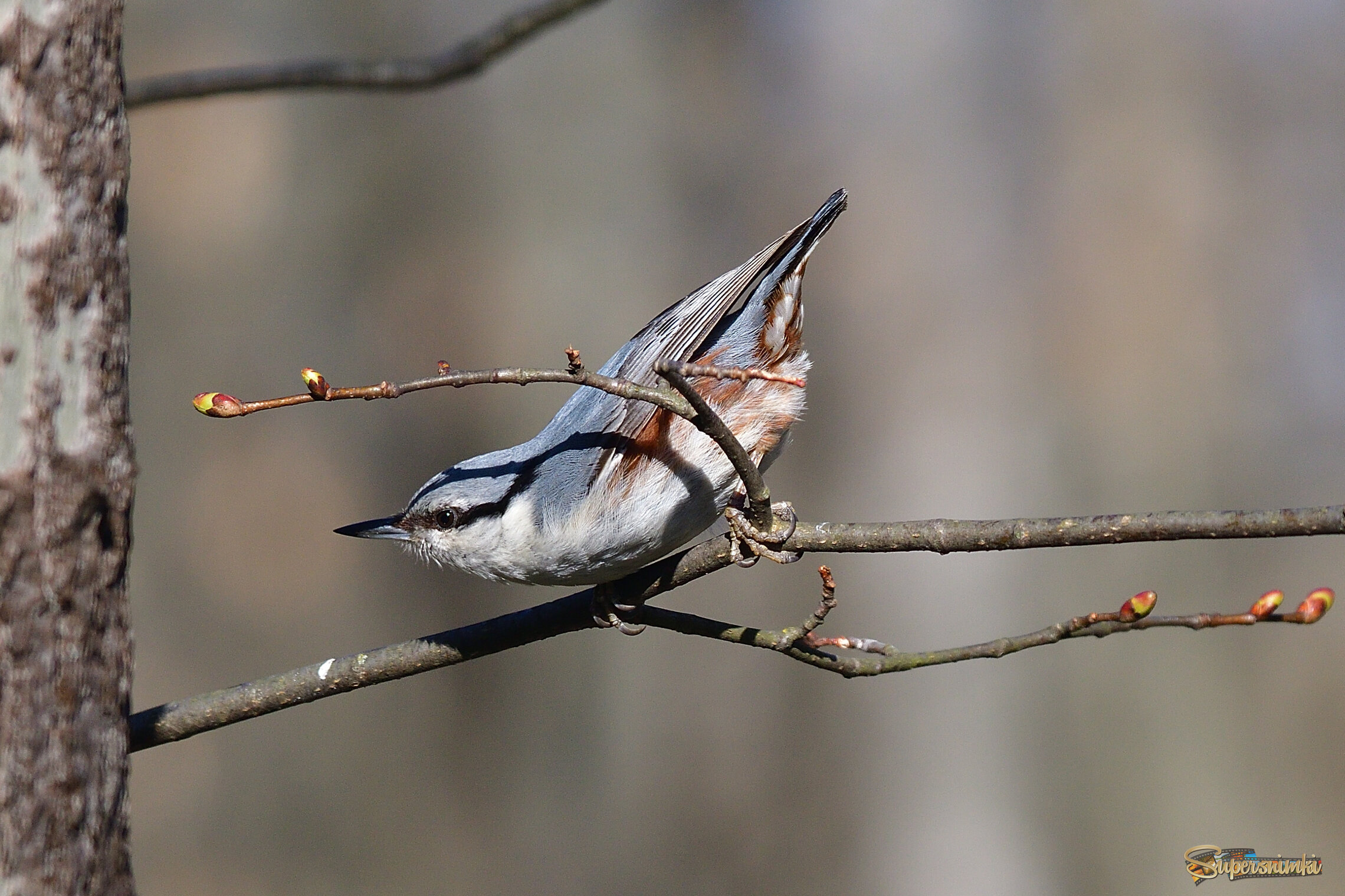 69eb556799284855169f5a04