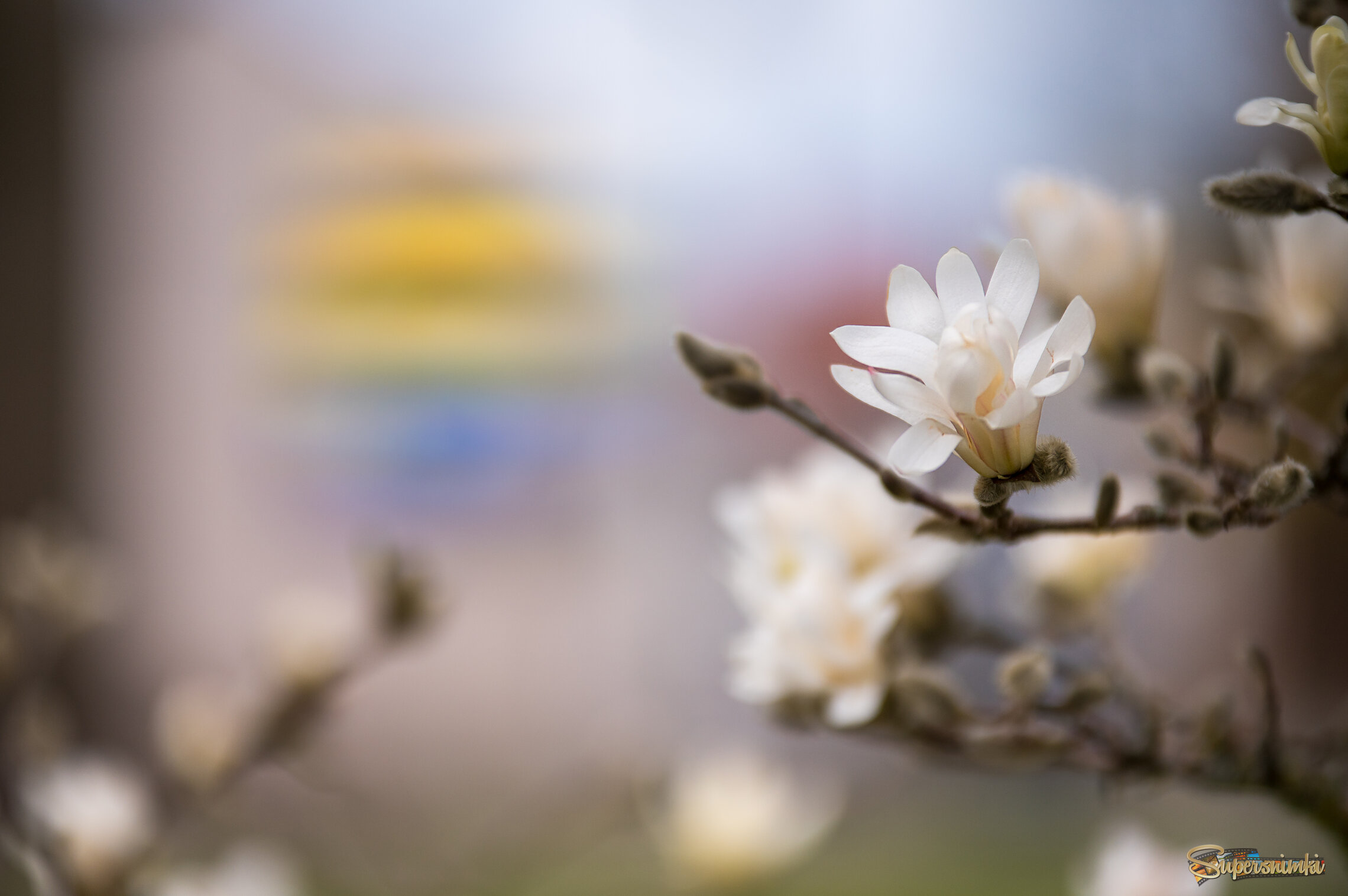 69eb7227cc4854accf9f5a04