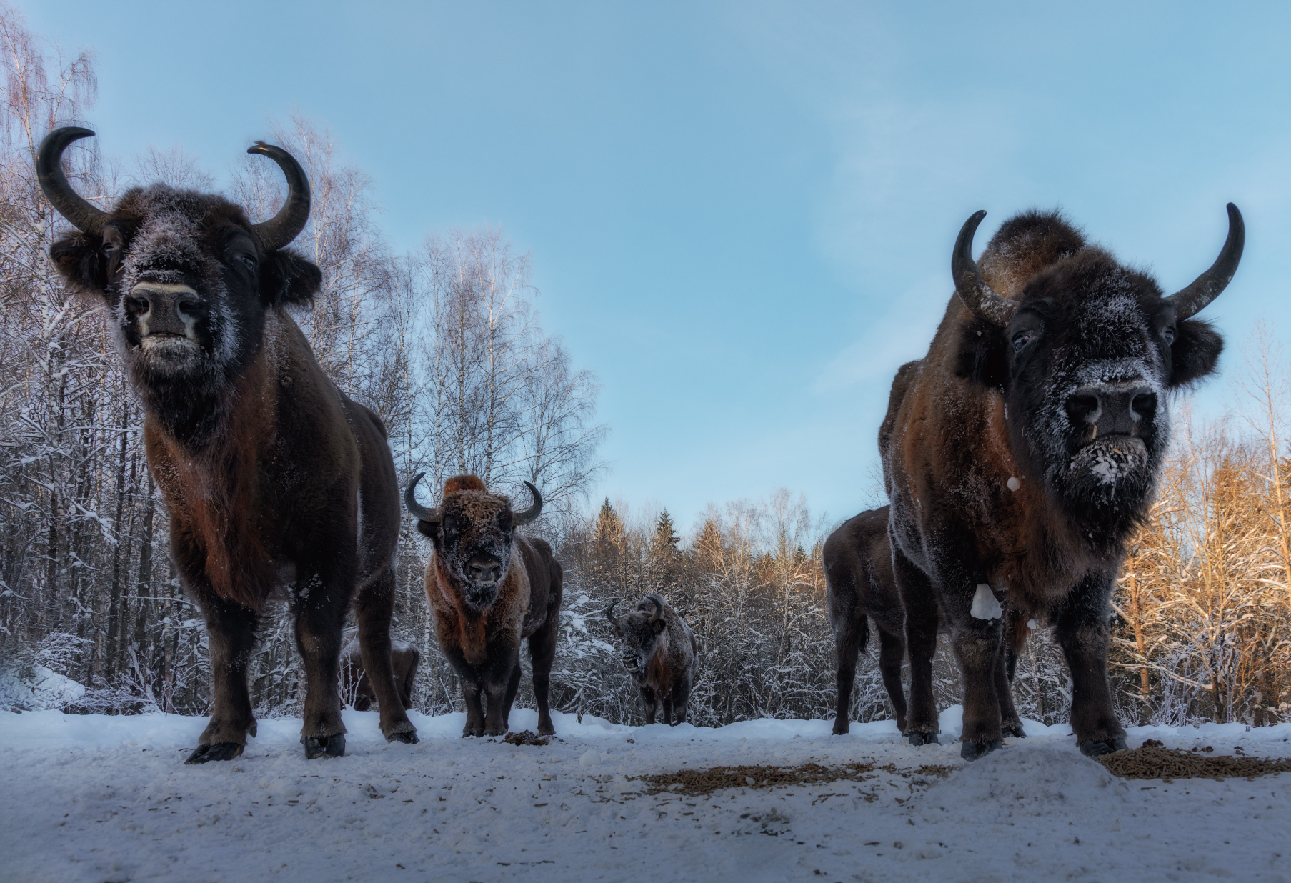 В боевом построении