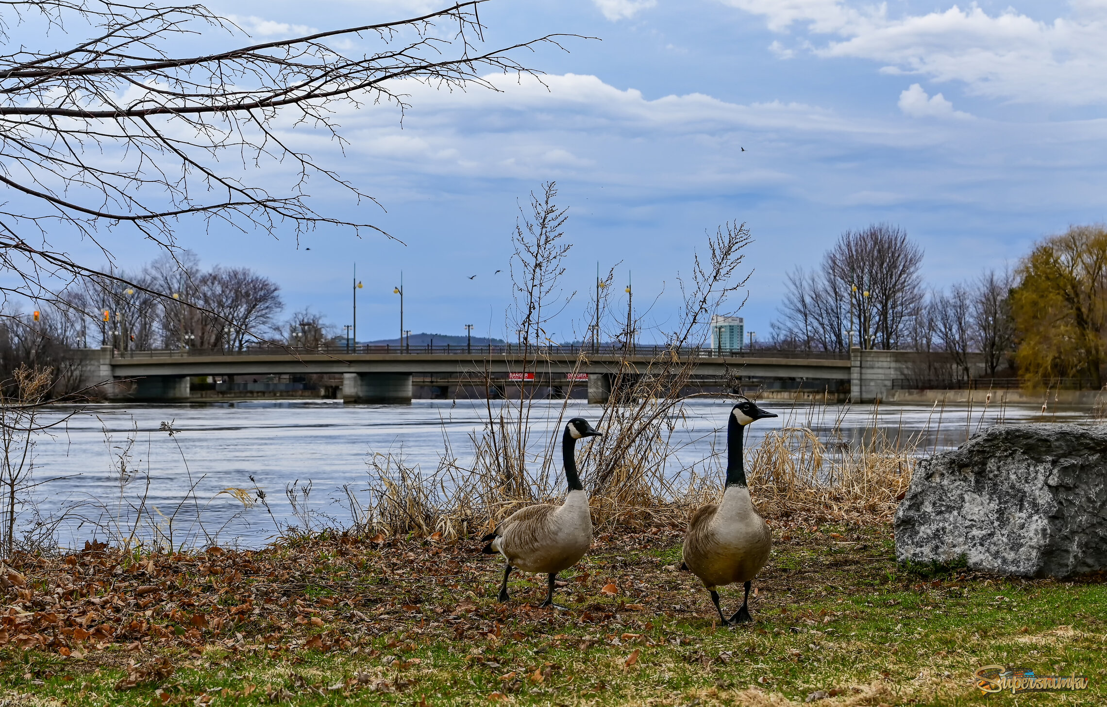 Осваиваются на новом месте