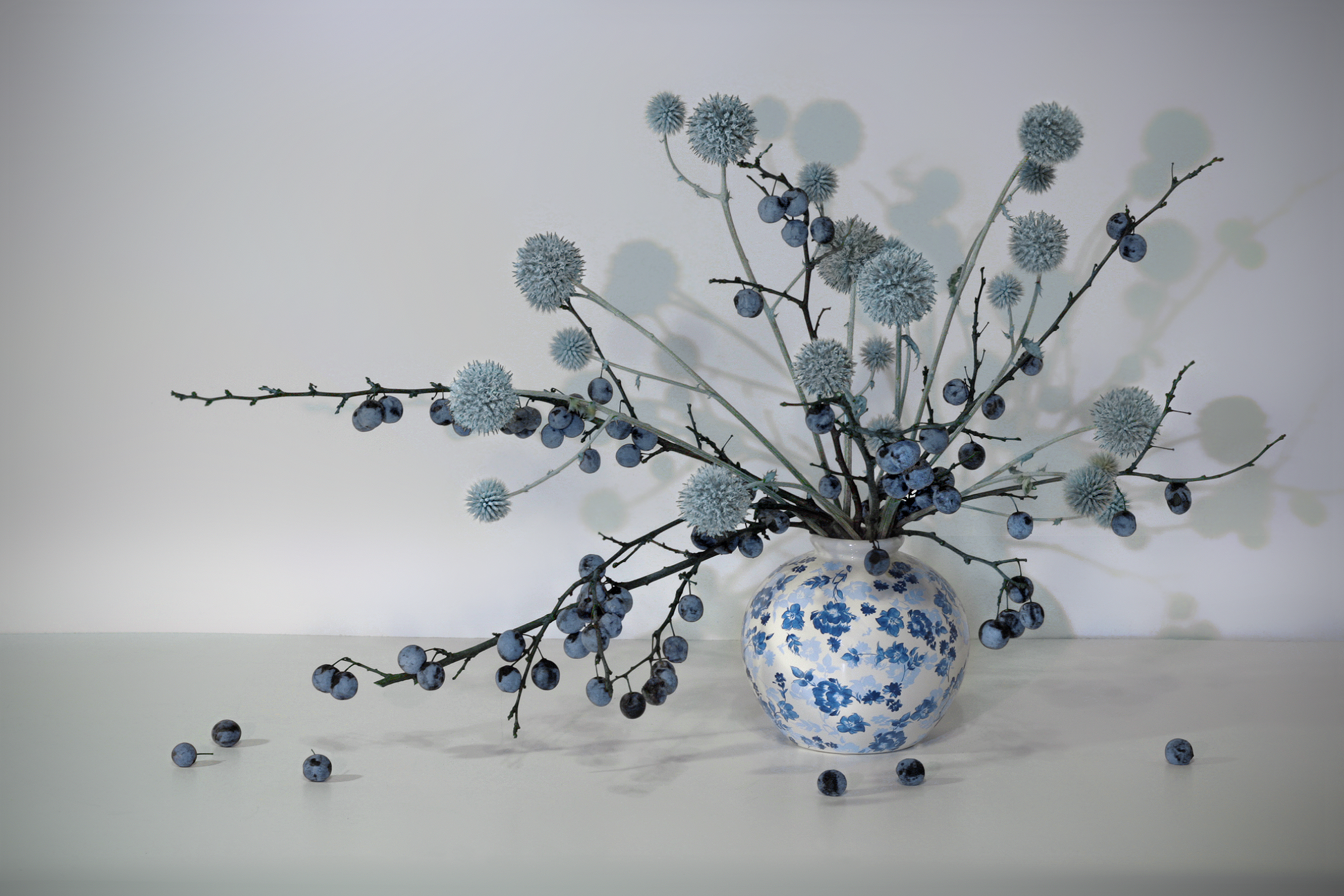 Натюрморт с тёрном и мордовником