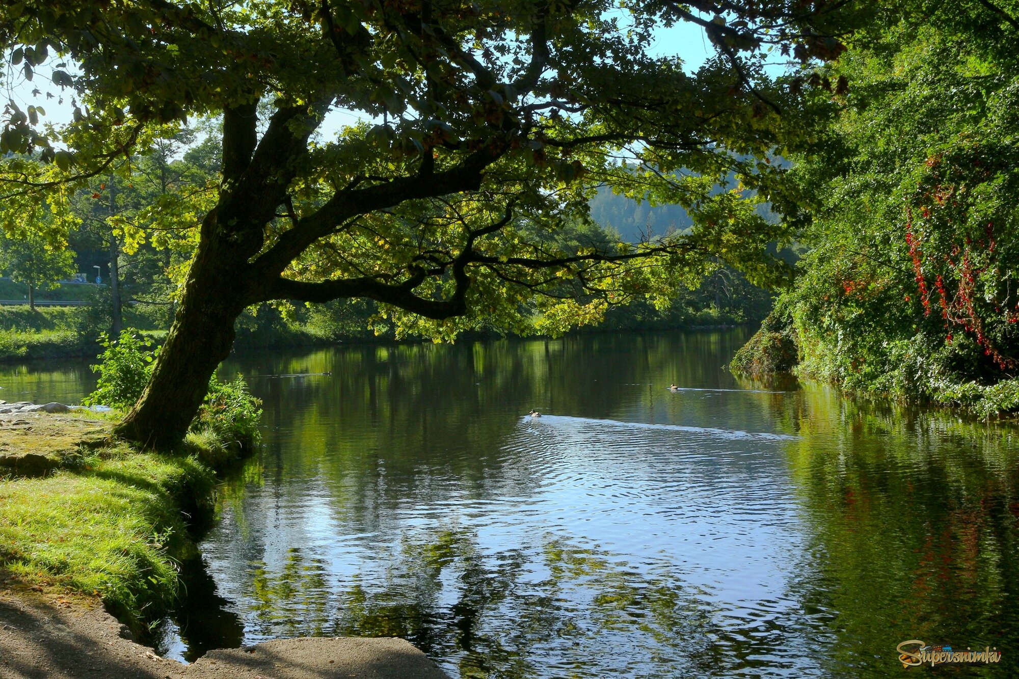 Тихая речка