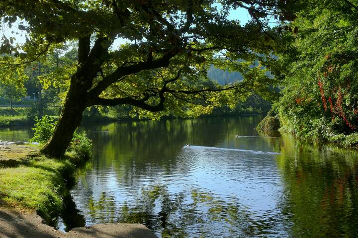 Тихая речка