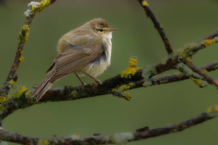 На сильном ветру