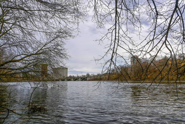 Городская артерия