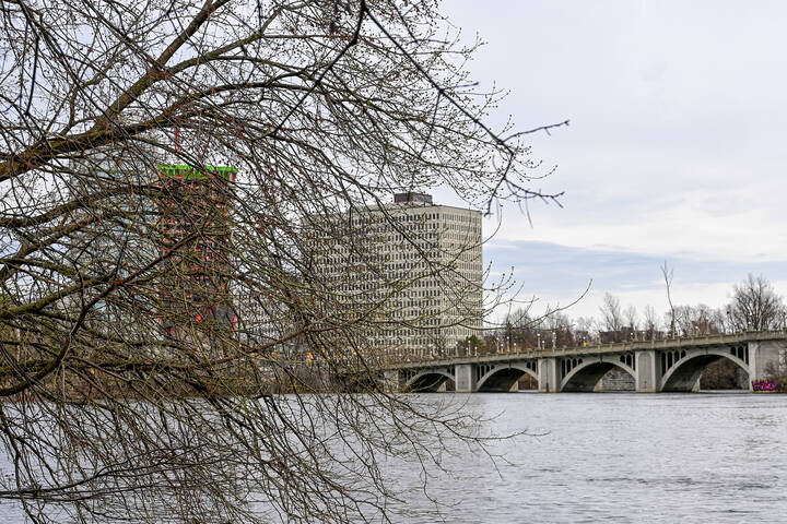 Городская артерия