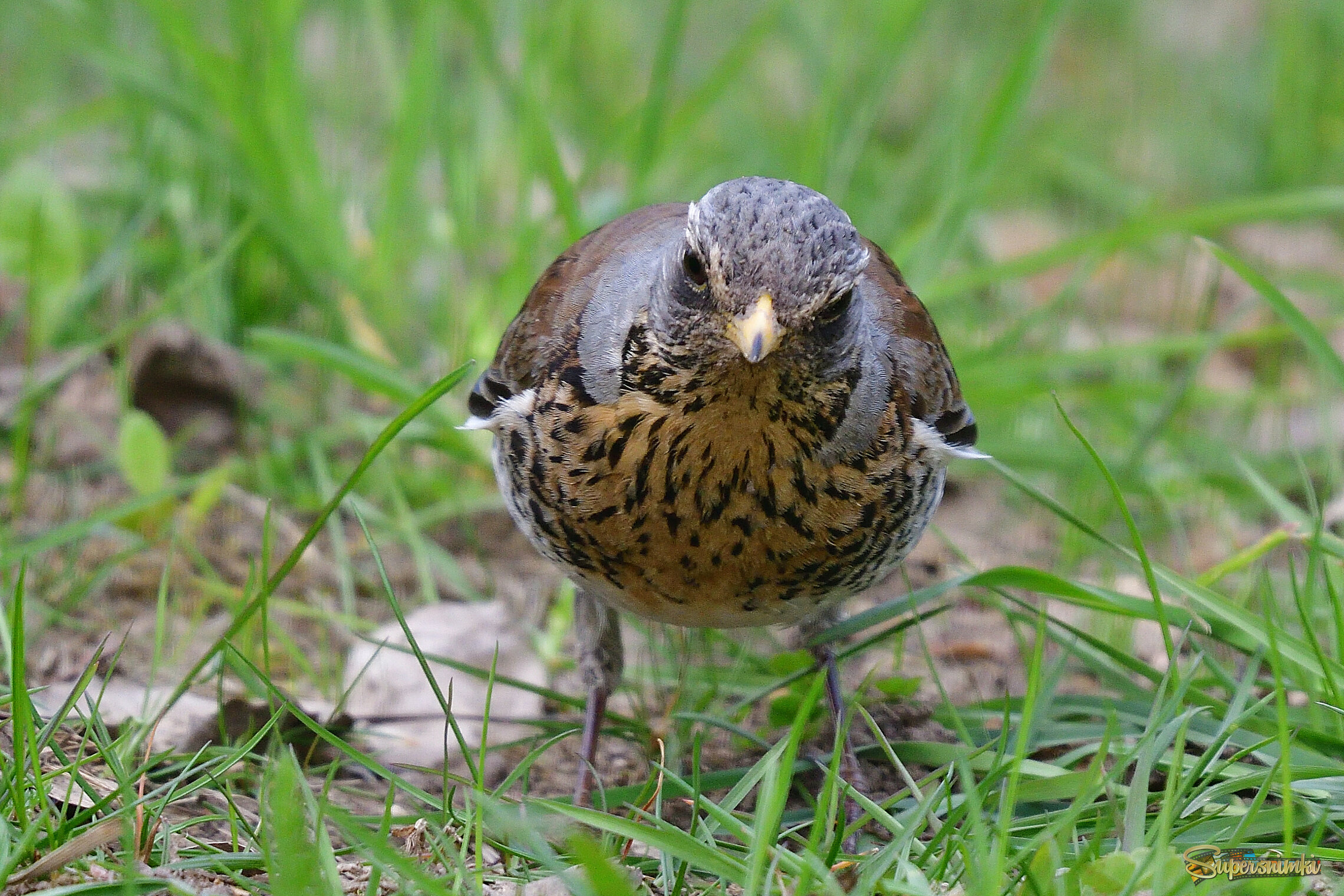 69ef38127fea7c79819f5a04