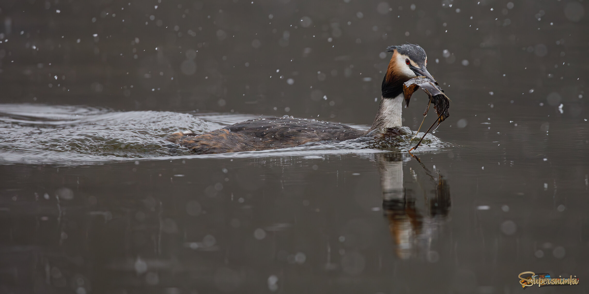 Работа кипит в любую погоду
