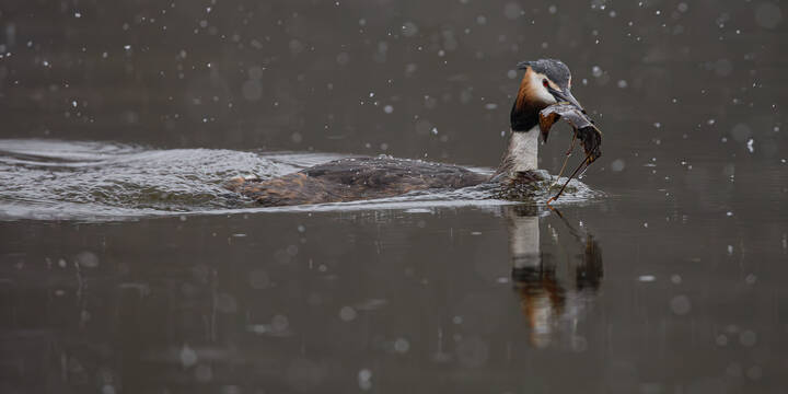 Работа кипит в любую погоду