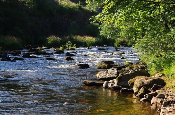 Горная речка