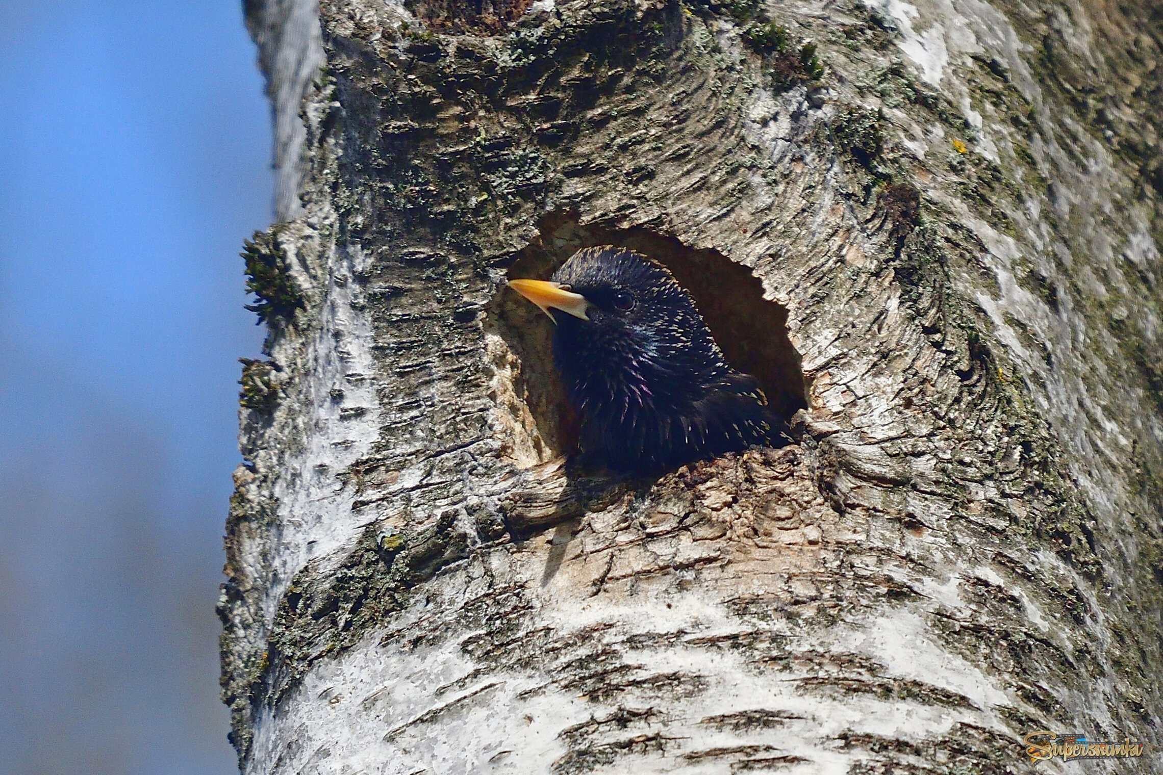 69f1e3d8105a0f12719f5a04