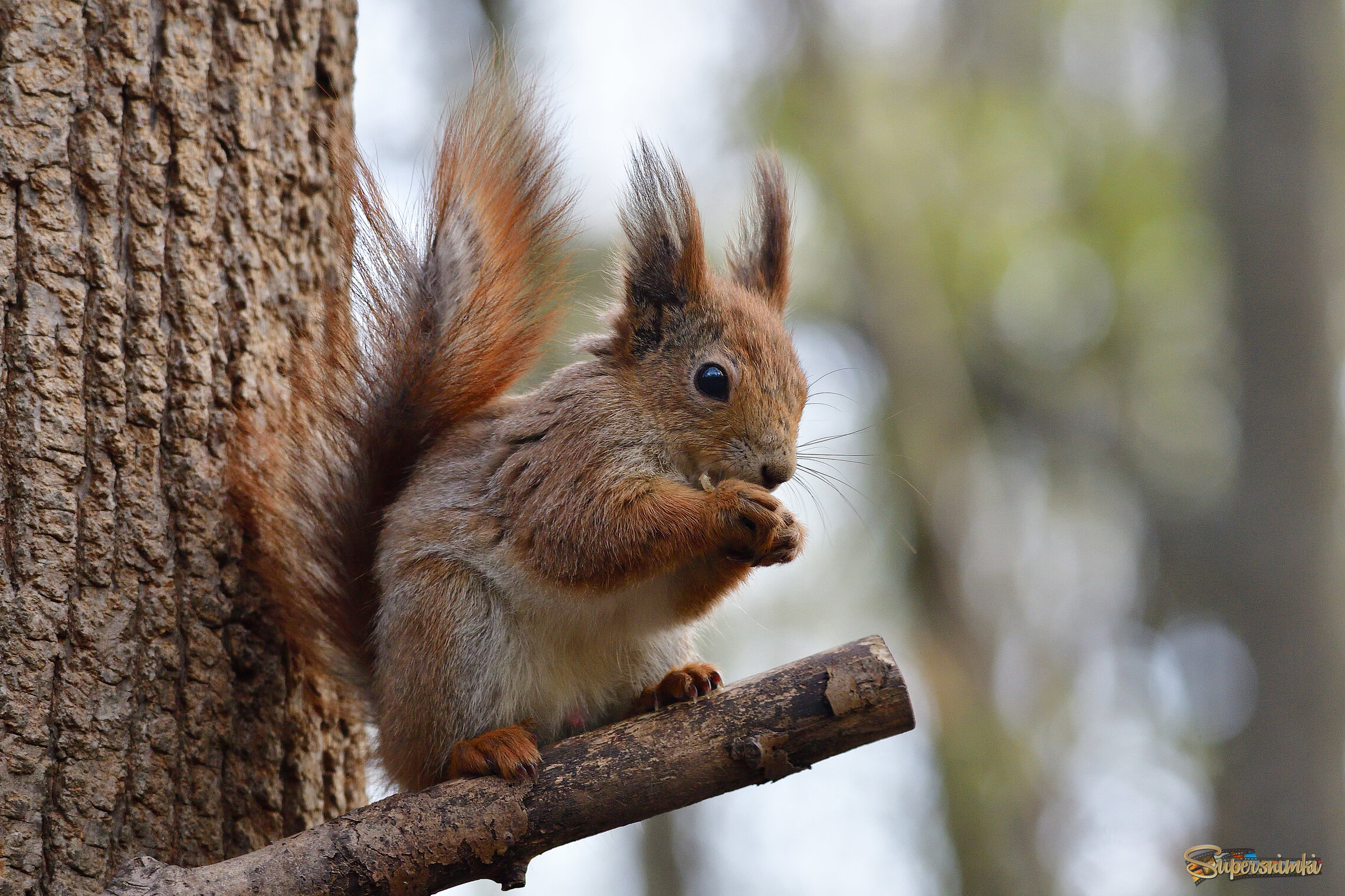 69f1e3eb56bc3823c09f5a04