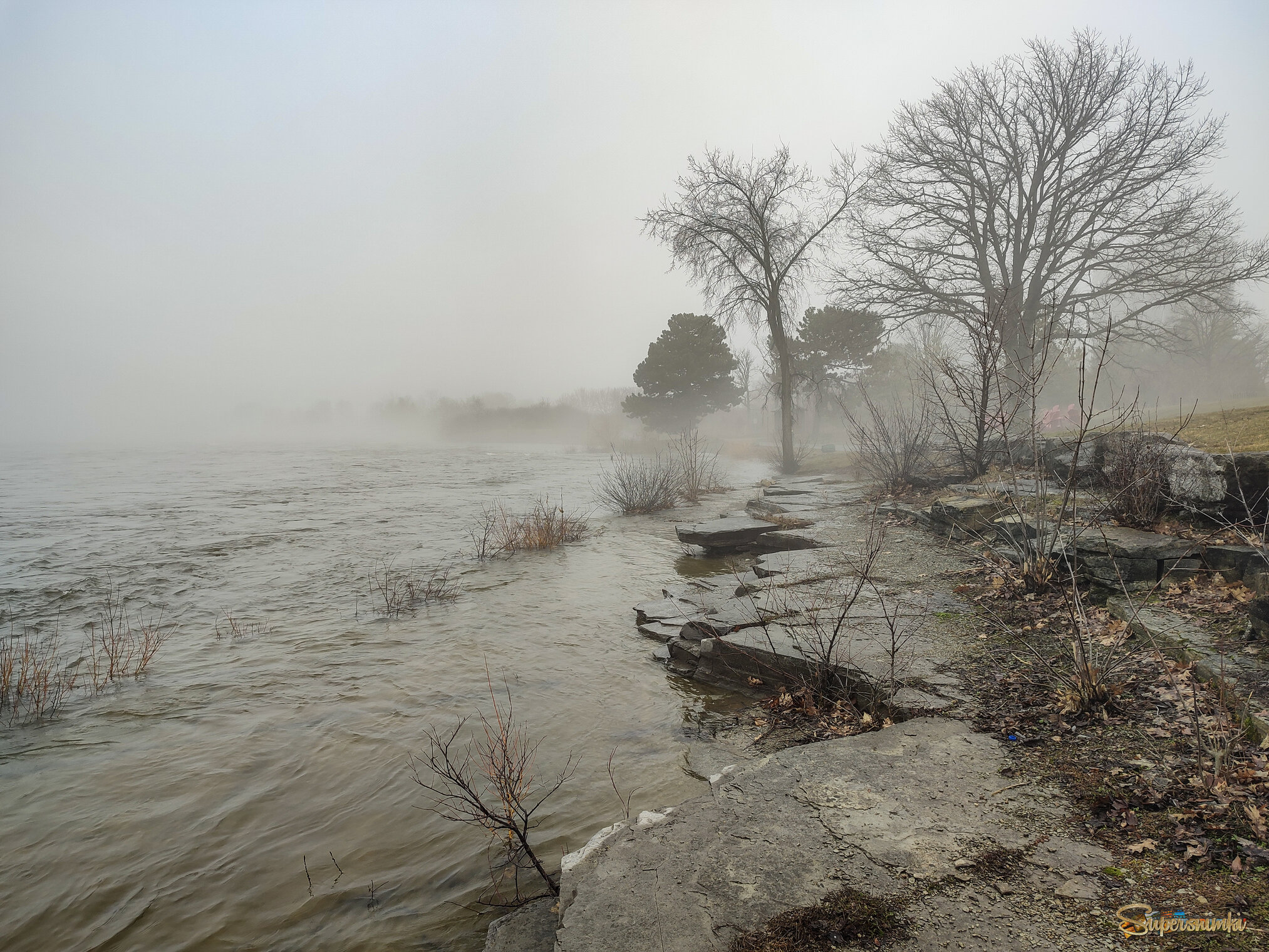 На туманном берегу