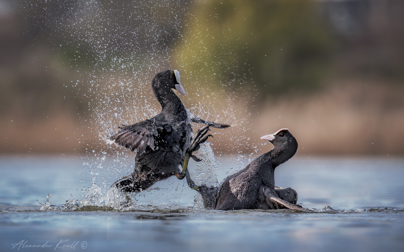Запрещенный прием