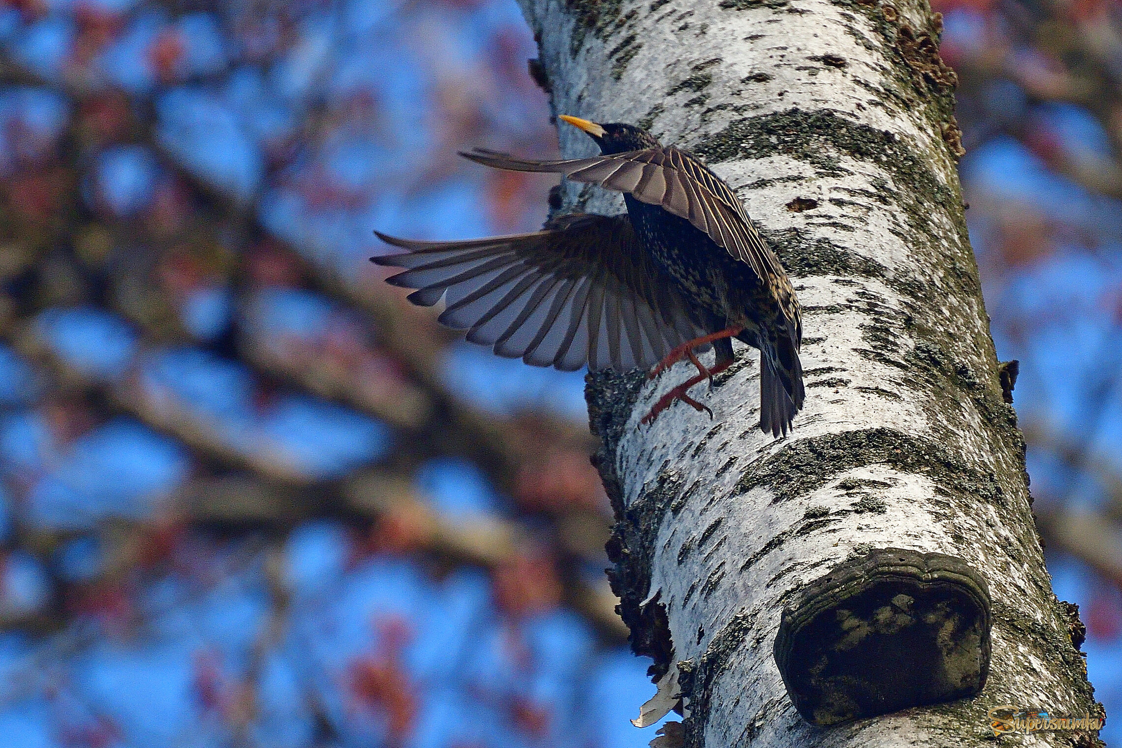 69f3261c393186fca99f5a04