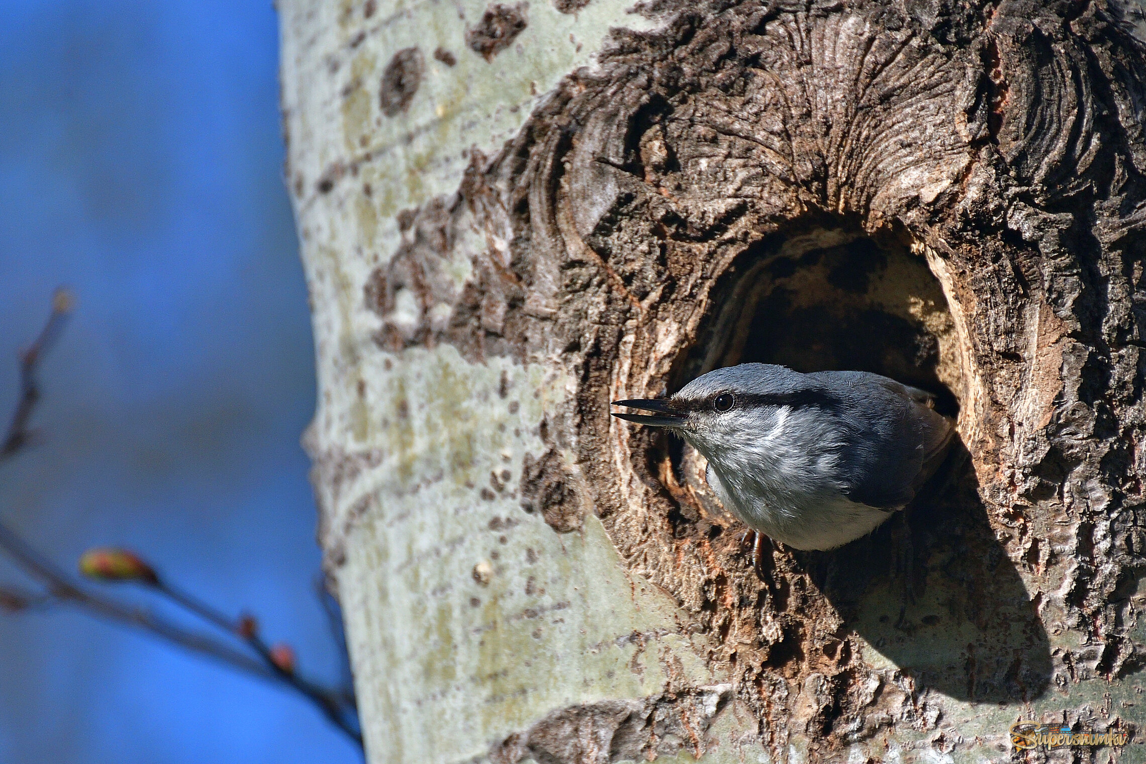 69f326362b915cb7e79f5a04