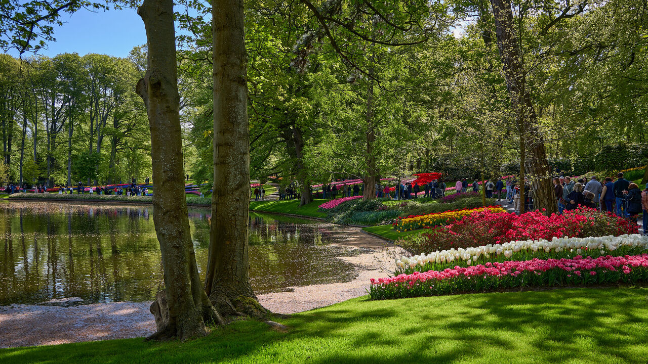 Keukenhof...