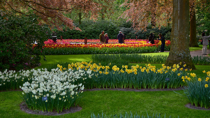 Keukenhof...