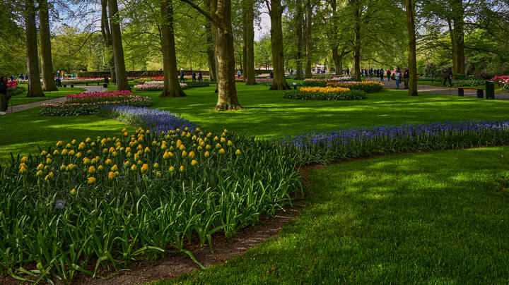 Keukenhof...