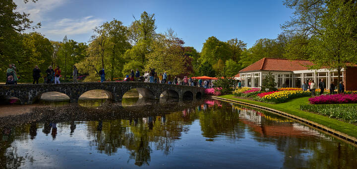 Keukenhof...