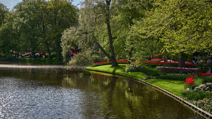 Keukenhof...