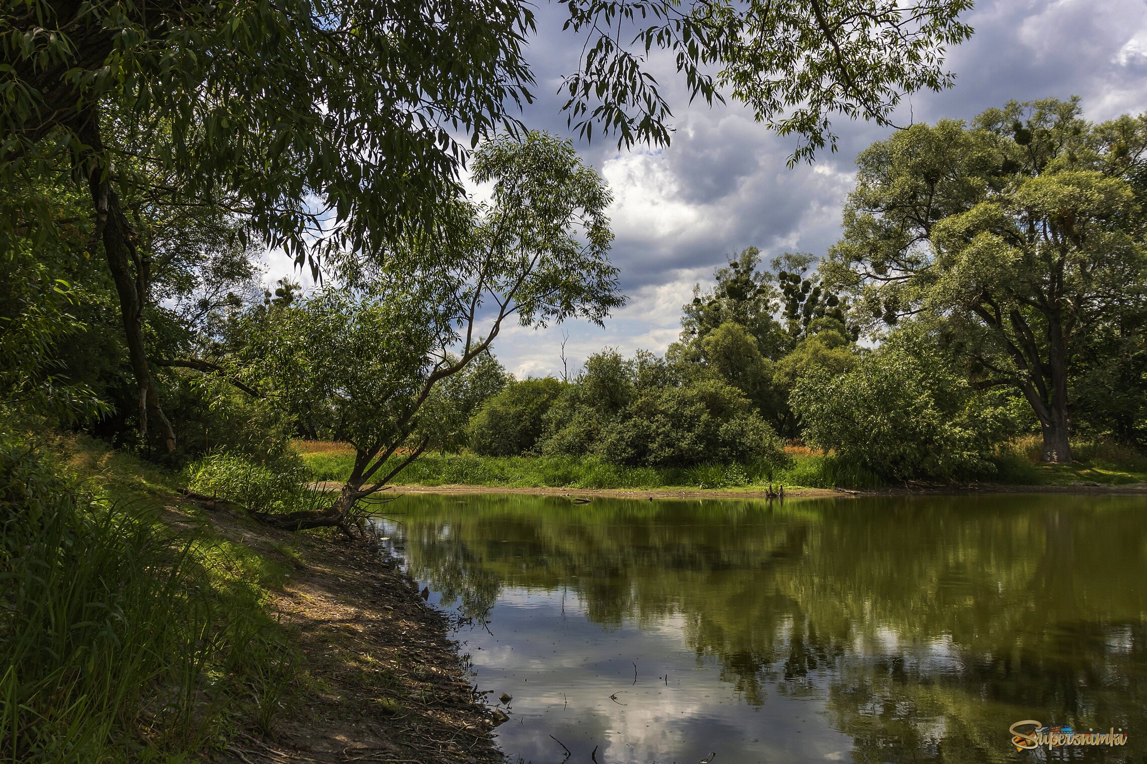 Летний день