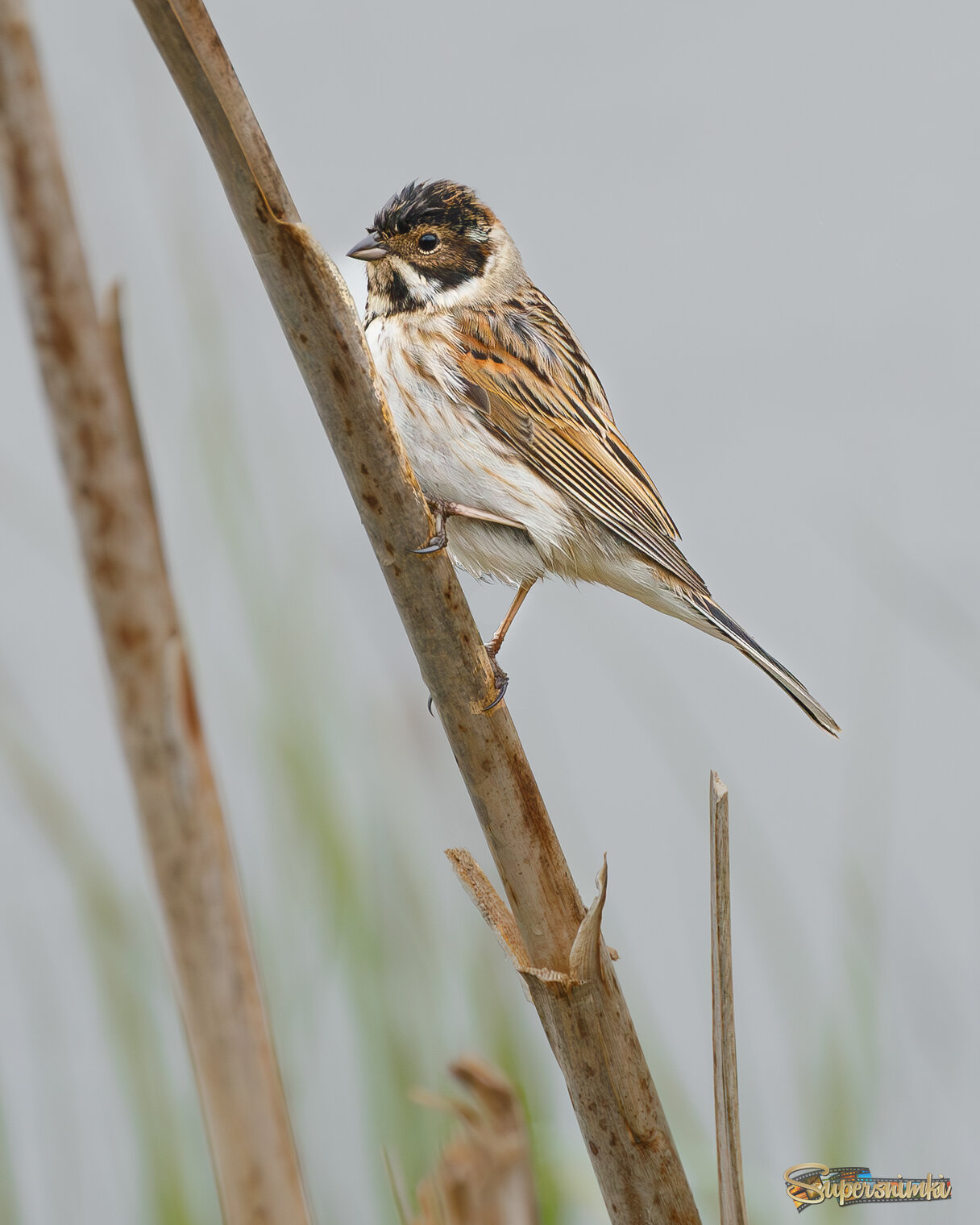 Мокро под дождем