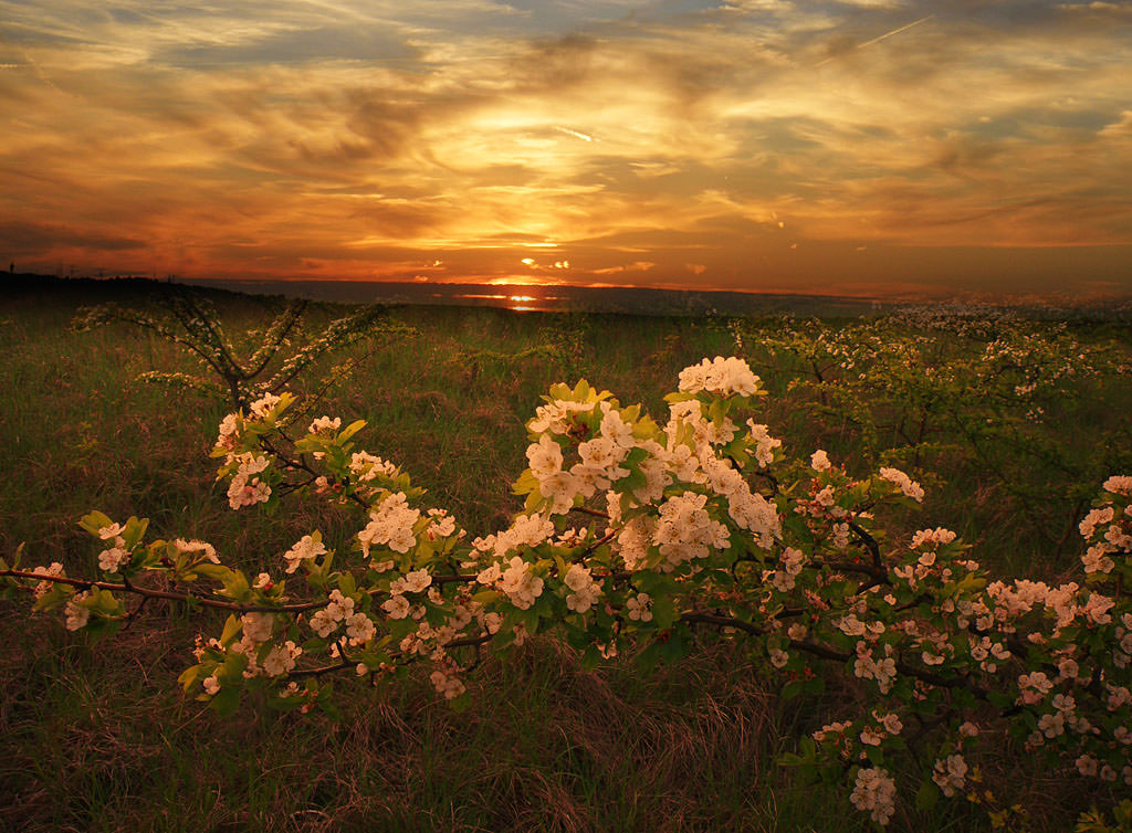 На рассвете.