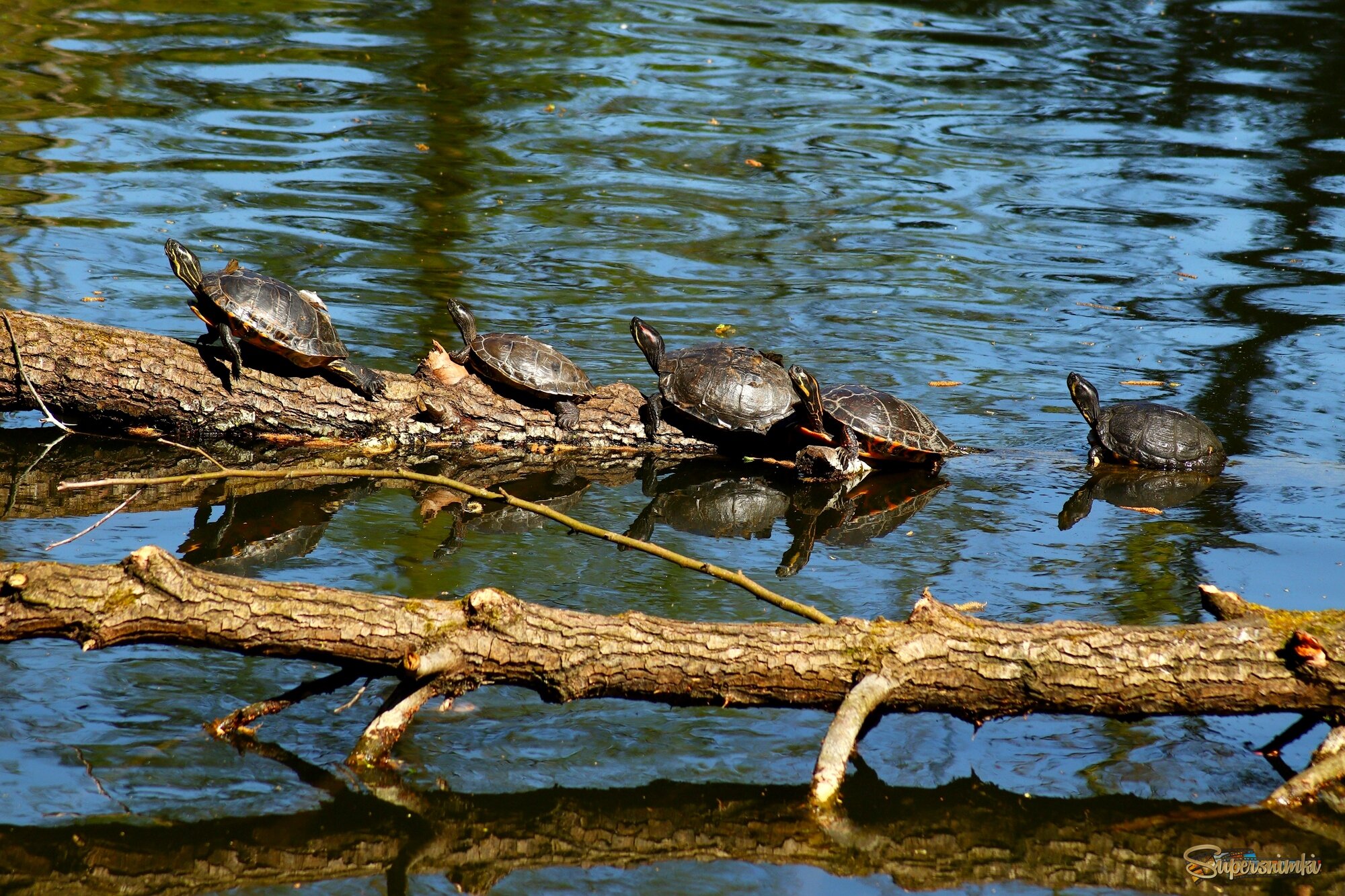 Время позагорать