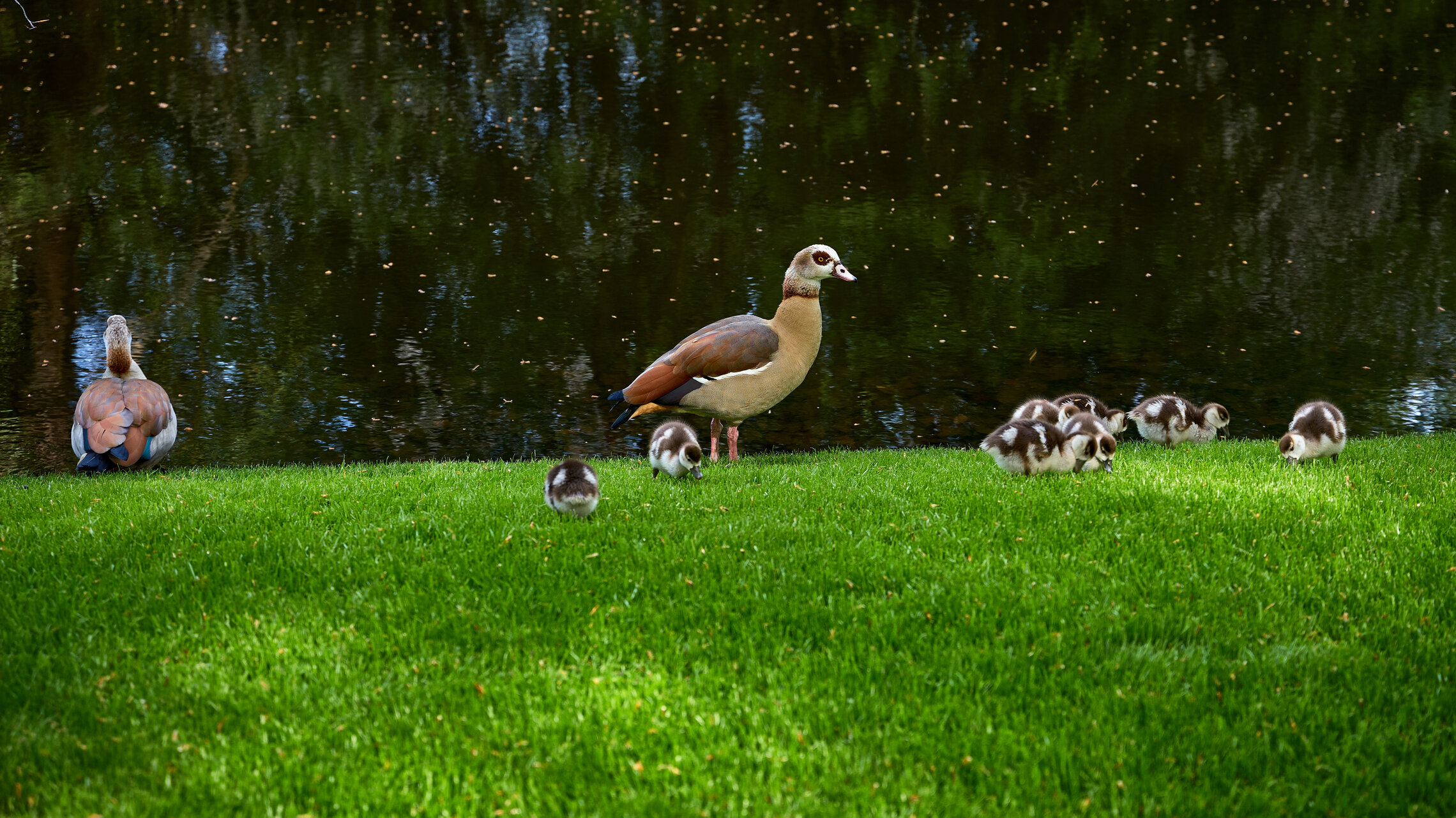 Семейное фото...