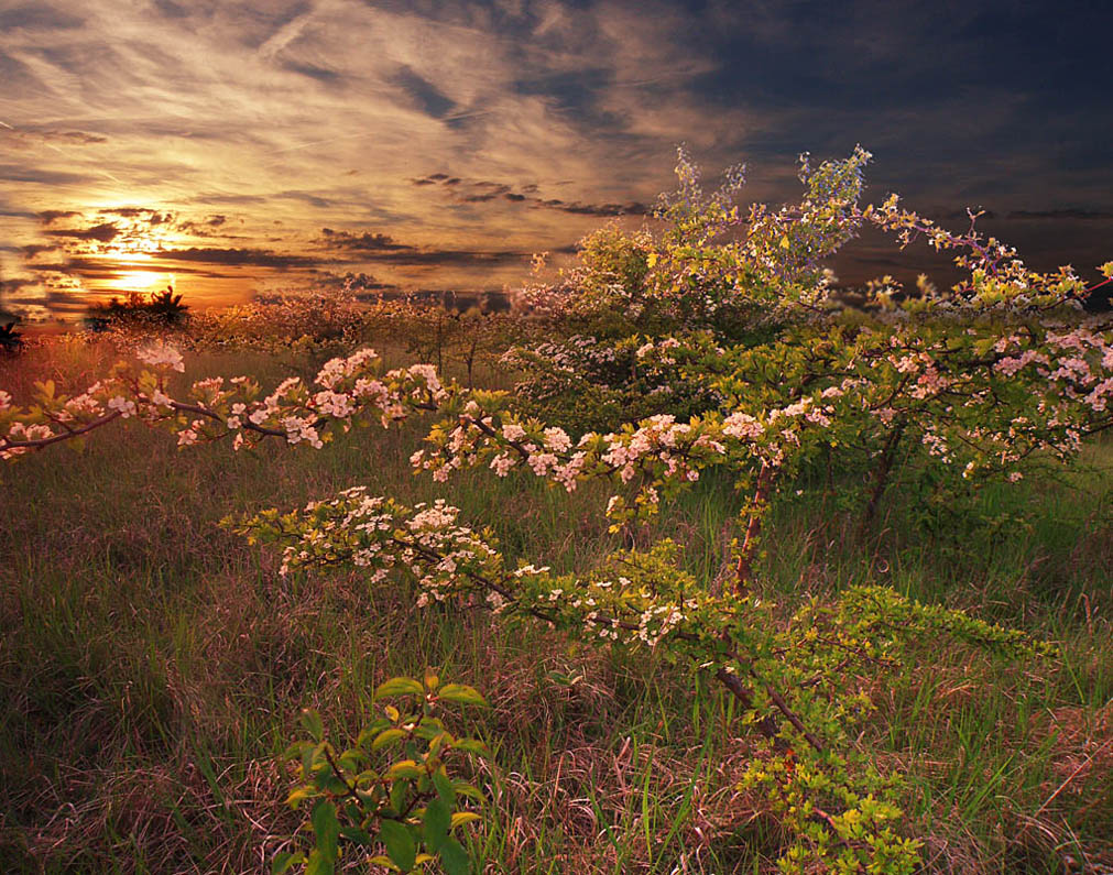 На рассвете.