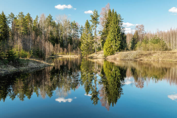 Весна