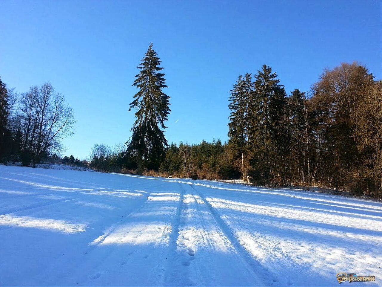 Зима