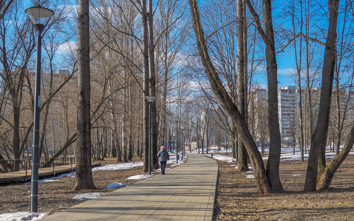 Прогулки в Весеннем Парке