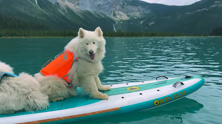 На открытие новых земель