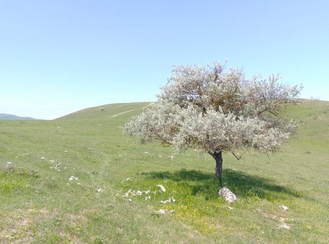 Горный Пейзаж в Азербайджане
