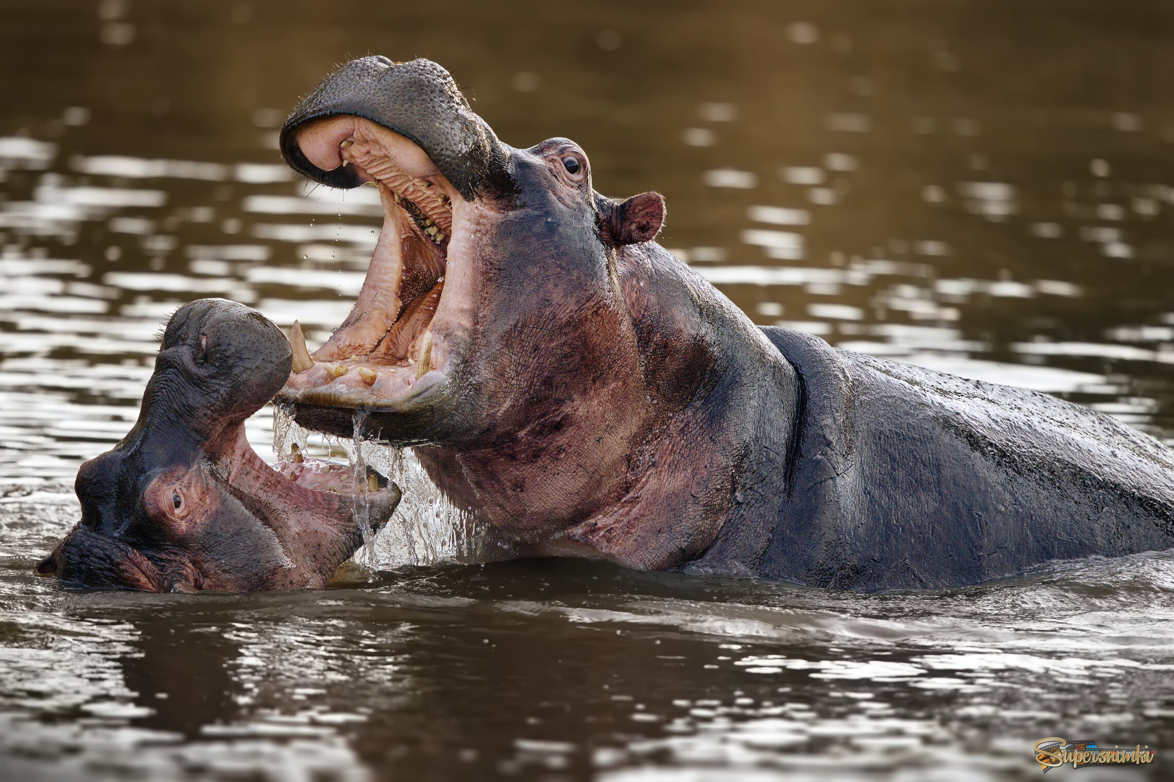 Водяной каскад