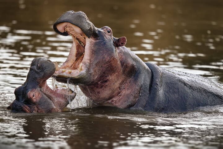 Водяной каскад