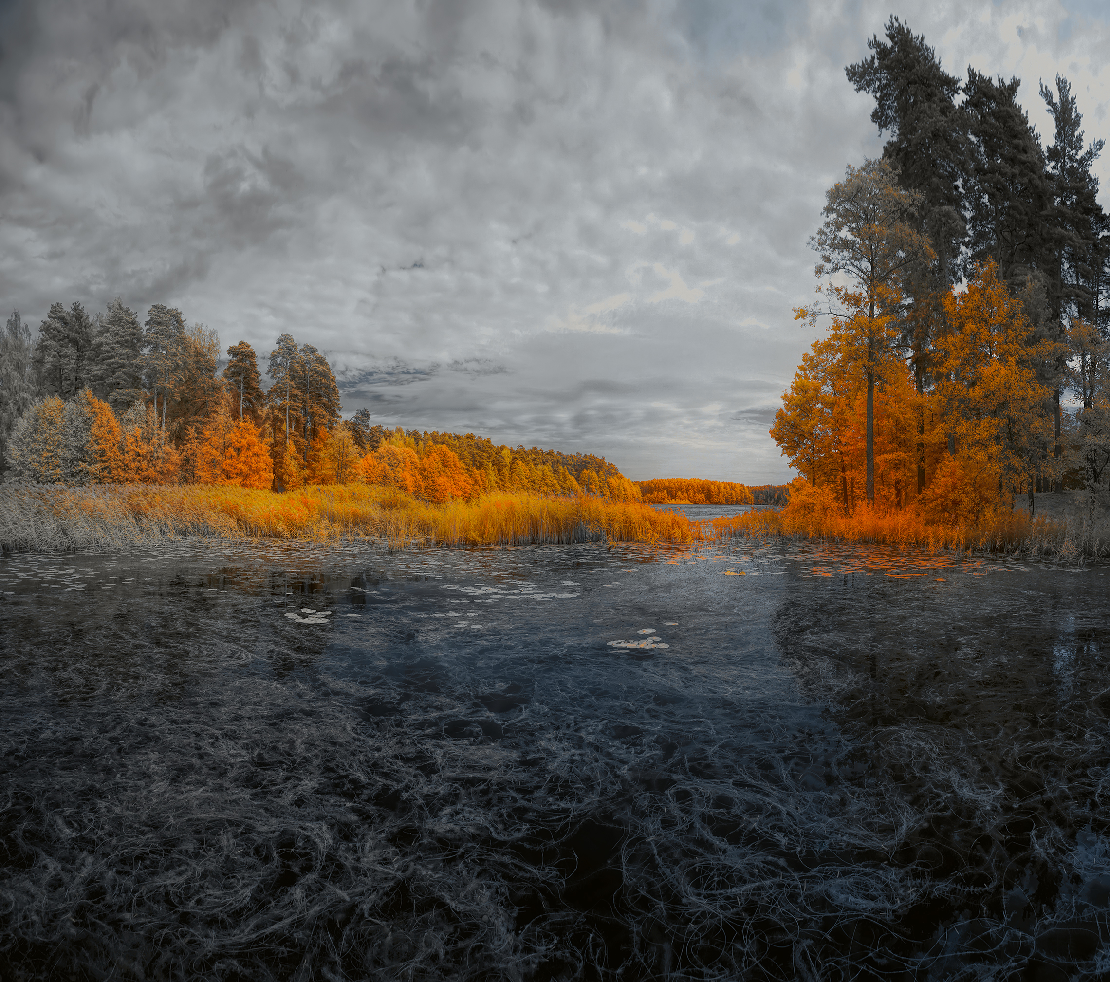 В Беларуси осень 