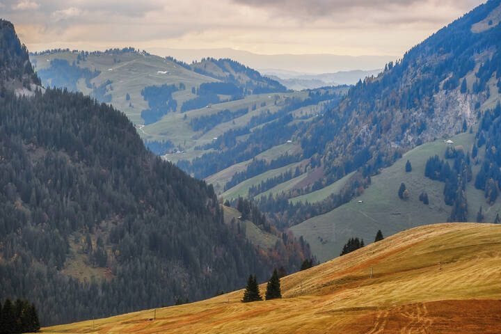 Альпы