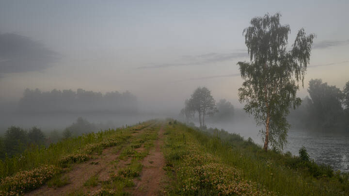 В туман...