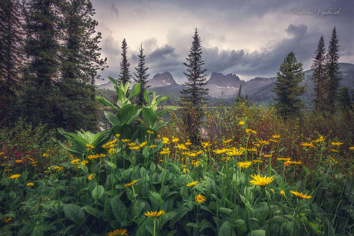 Лето в горах.