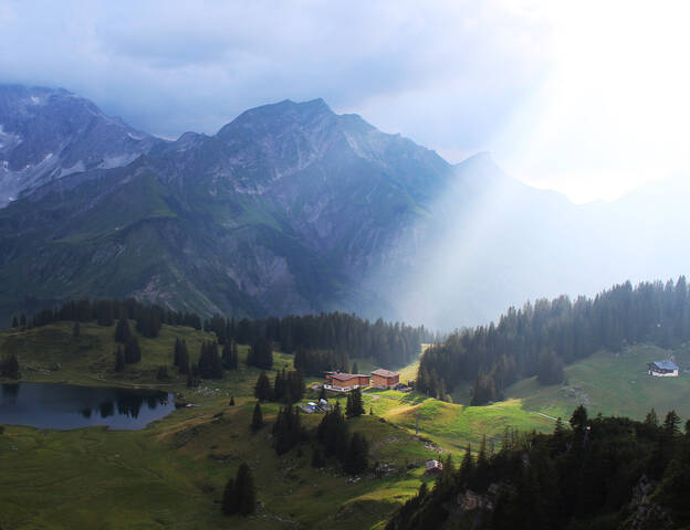 Луч солнца.