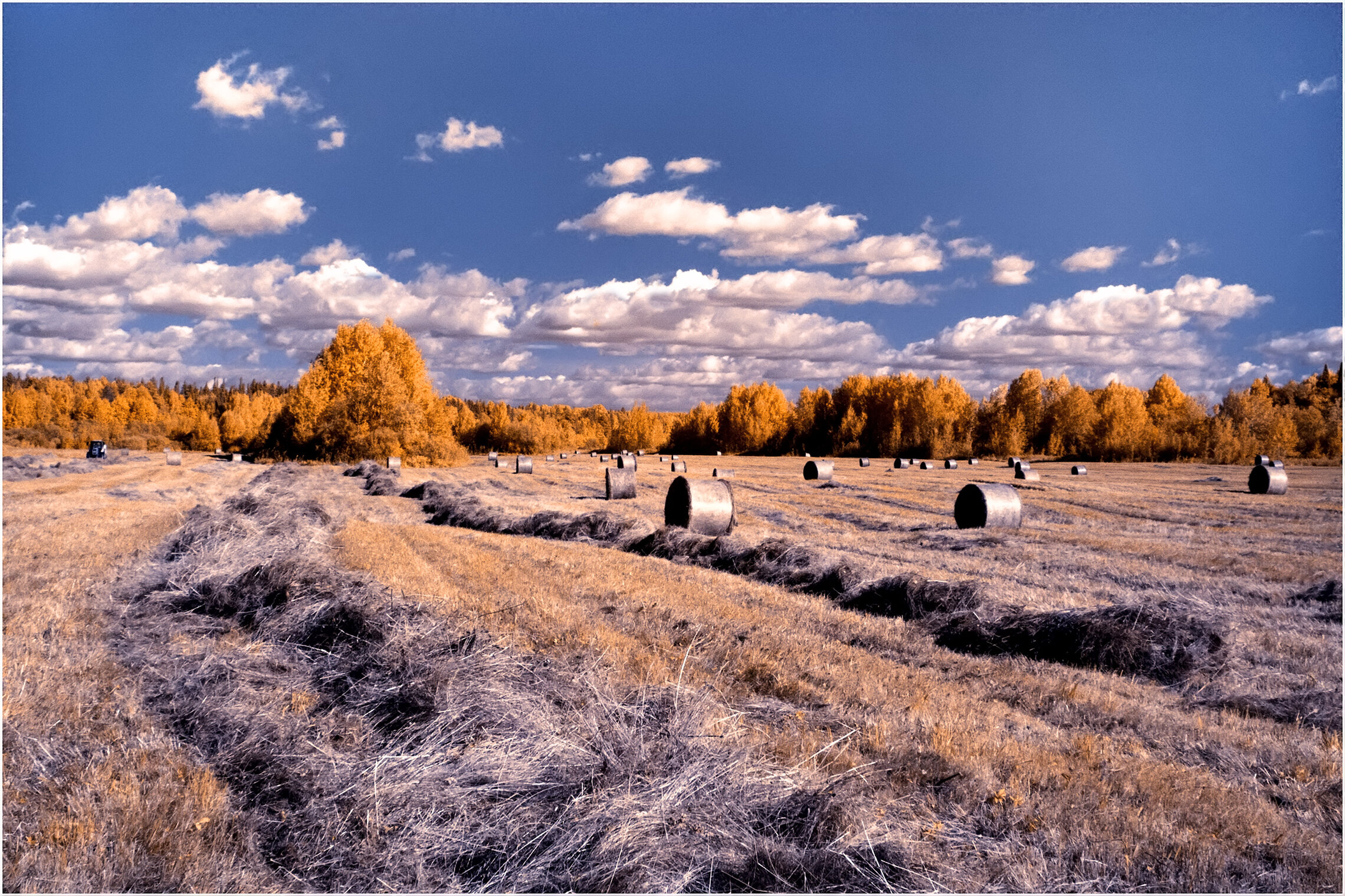 Сенокосная пора