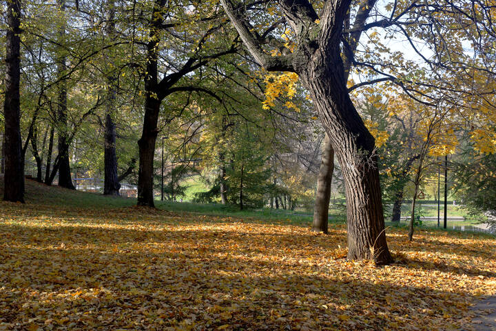 Люблинский парк