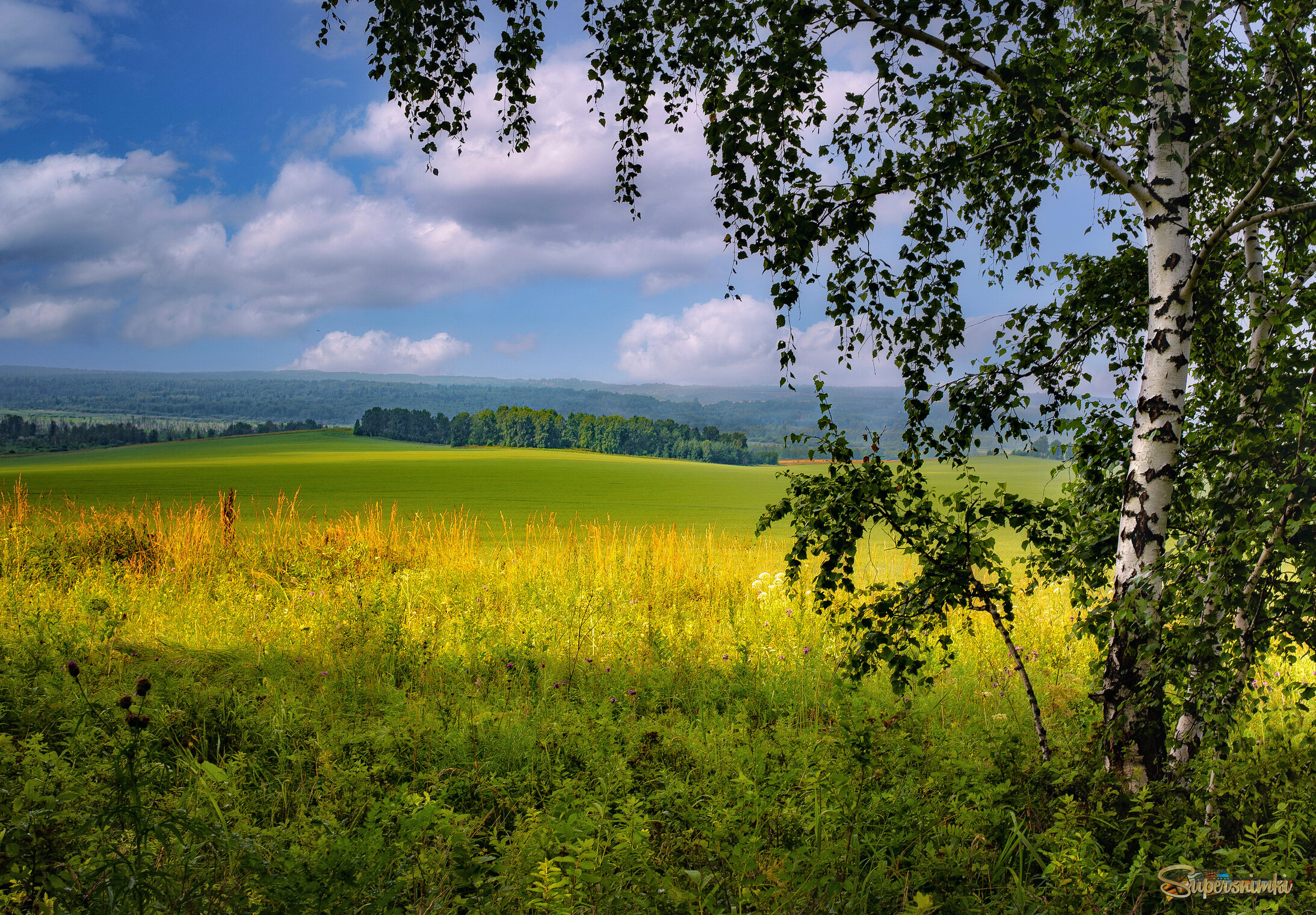 Природа родного края