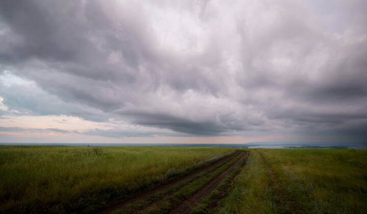 Перед грозой