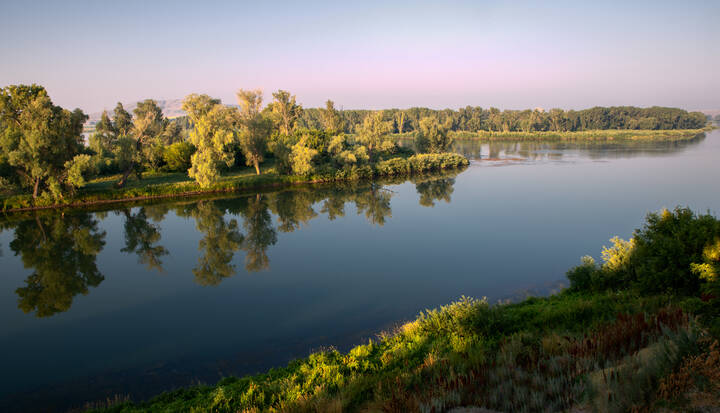 Утро