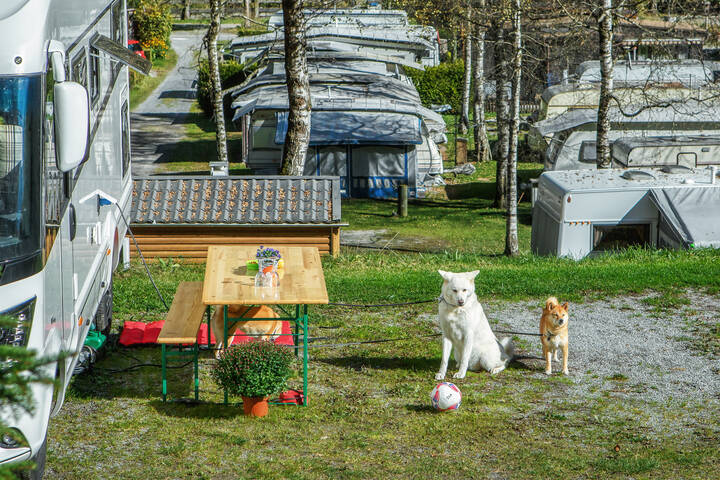 Версия #1