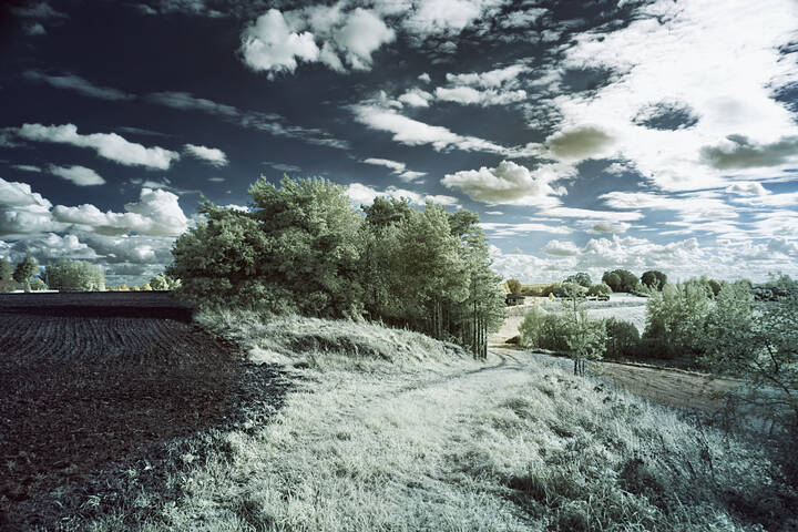 Осень в  IR